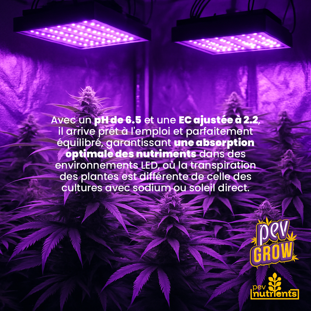 Terra ProLed Pev Nutrients